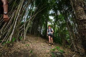 BIB: 
                            <button type="button" onclick="openModal(19395900)" class="btn btn-primary btn-sm float-right btn-popup" data-toggle="modal" data-target=".modal-high-quality">
                        <i class="fas fa-shopping-cart"></i> Add to Cart
                    </button>
                                            <button type="button" onclick="isThisMe(19395900, true)" class="btn btn-success btn-sm float-right btn-popup btn-isme hidden" data-toggle="tooltip" data-placement="bottom" title="นี่คือรูปของคุณใช่ไหม คลิกที่นี่เพื่อเอาเข้าอัลบั้ม">
                        <i class="fas fa-plus"></i> Add to album
                    </button>
                    <button type="button" onclick="isThisMe(19395900, false)" class="btn btn-warning btn-sm float-right btn-popup btn-isnotme hidden">
                        <i class="fas fa-ban"></i> Remove from album
                    </button>